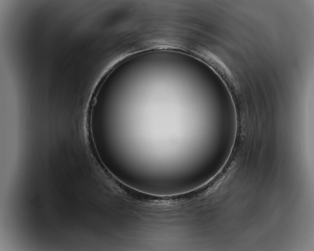 X0000094941182200712061225