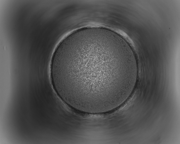 X0000094941183200712061225