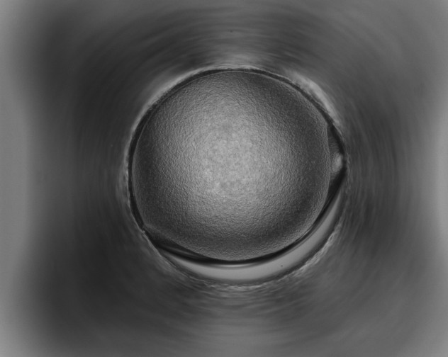 X0000094941184200712061225