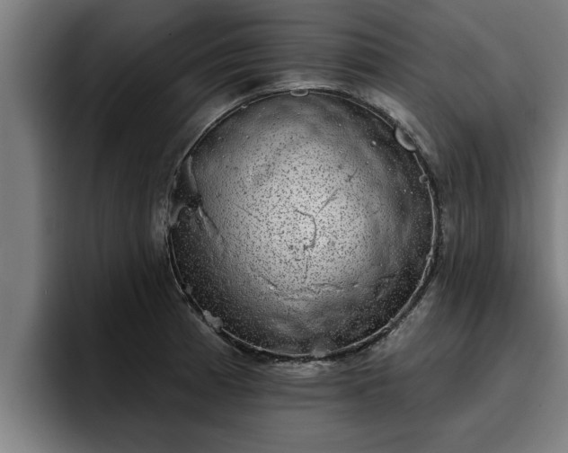 X0000094941185200712061225