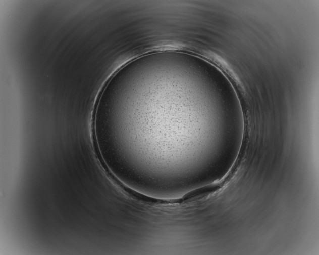 X0000094941186200712061225