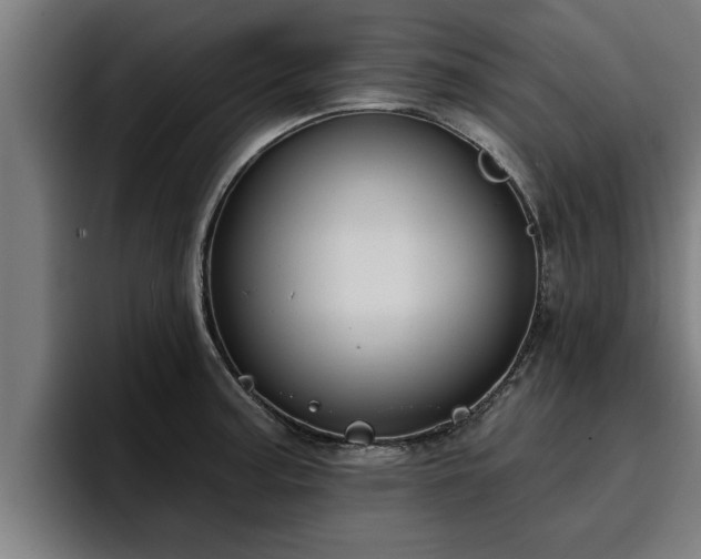 X0000094941187200712061225