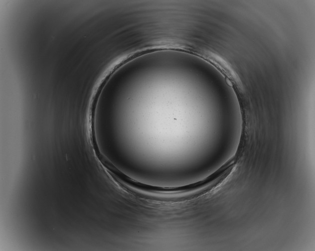 X0000094941188200712061225