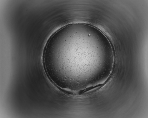 X0000094941189200712061225