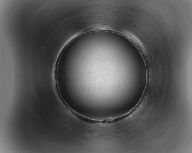 X0000094941190200712061225