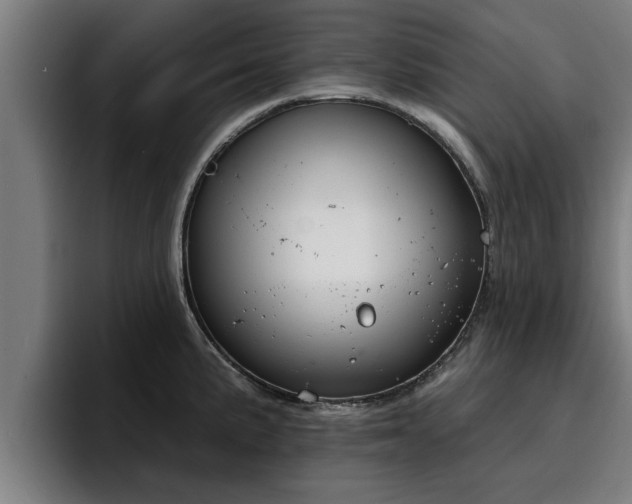 X0000094941191200712061225