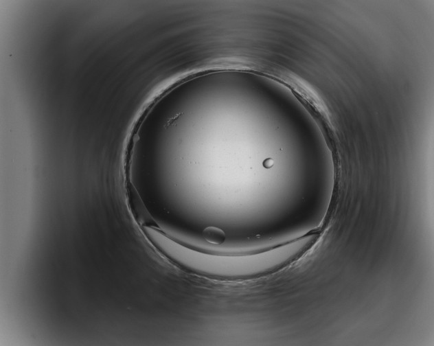 X0000094941192200712061225