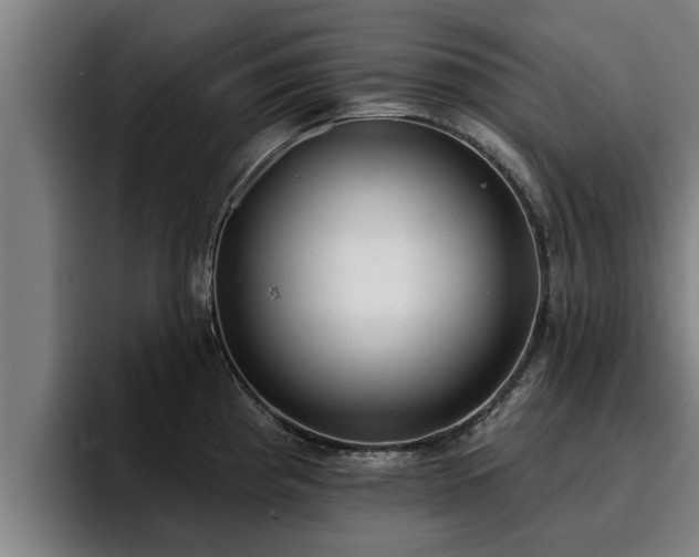 X0000094941193200712061225