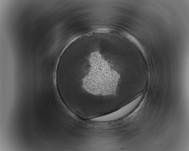 X0000094941194200712061225