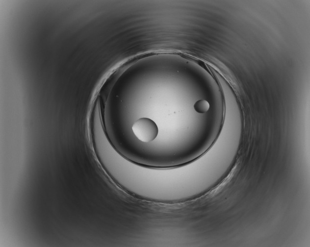 X0000094941196200712061225