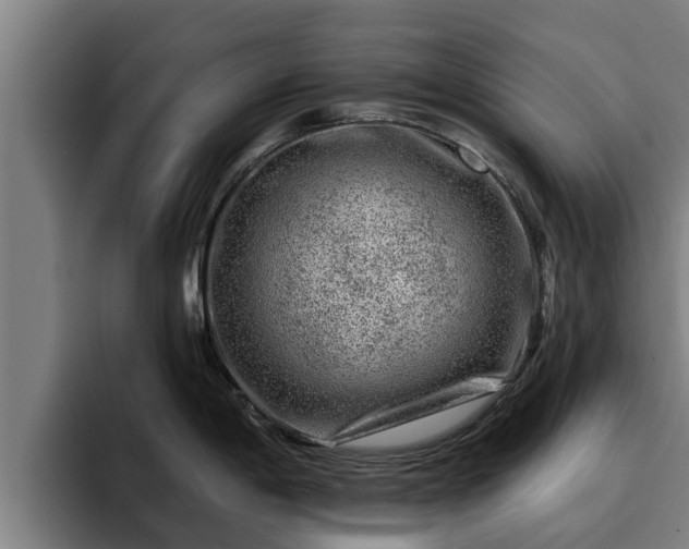 X0000094941198200712061225