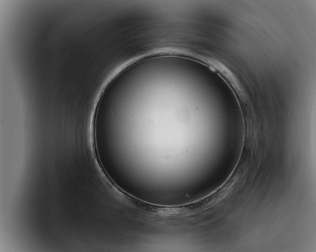 X0000094941199200712061225