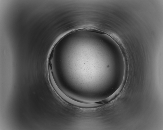 X0000094941200200712061225