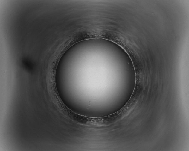 X0000094941201200712061224