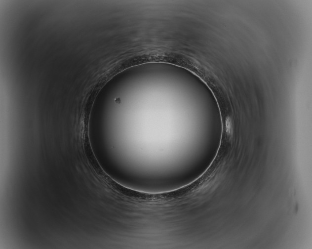 X0000094941203200712061224