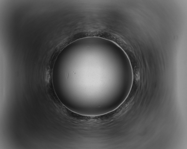 X0000094941204200712061224