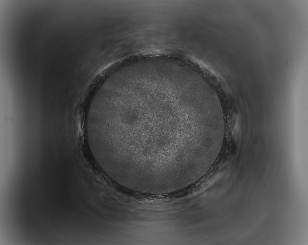 X0000094941206200712061224