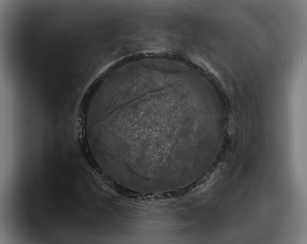 X0000094941208200712061224