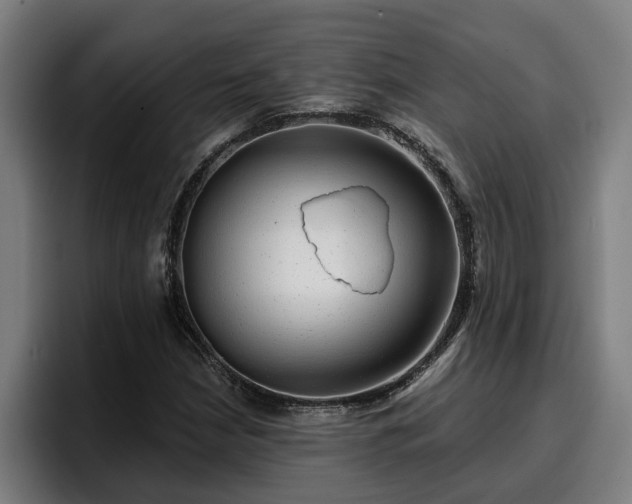 X0000094941210200712061224