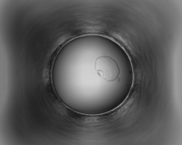 X0000094941211200712061224