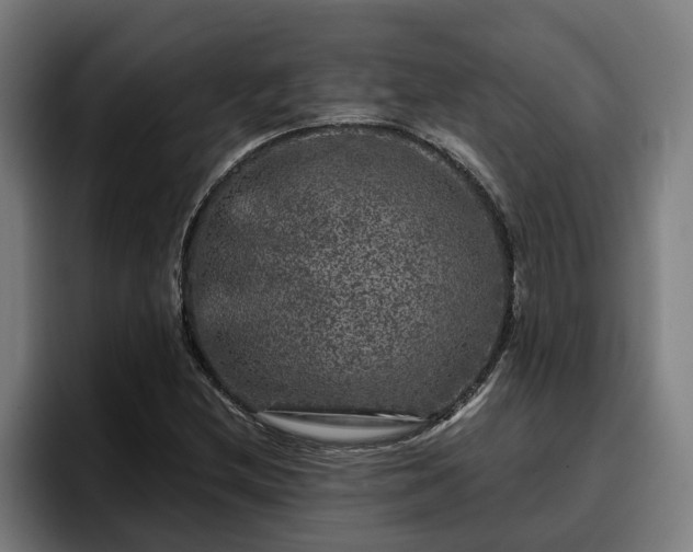 X0000094941212200712061224