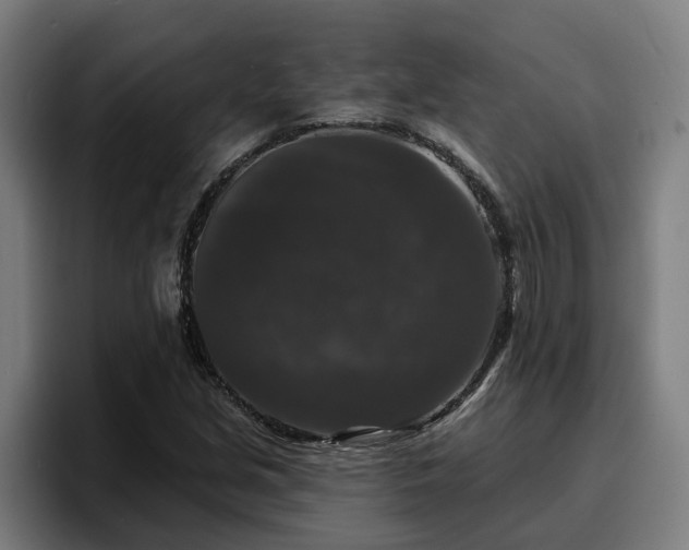 X0000094941213200712061224