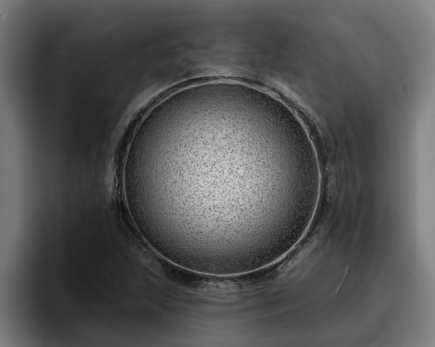 X0000094941215200712061224