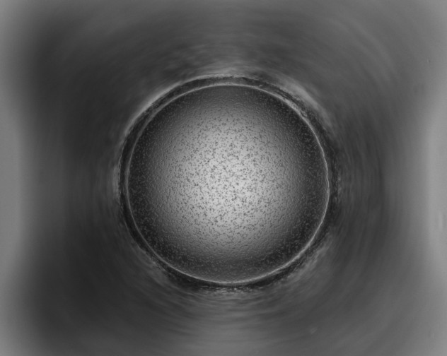 X0000094941216200712061224