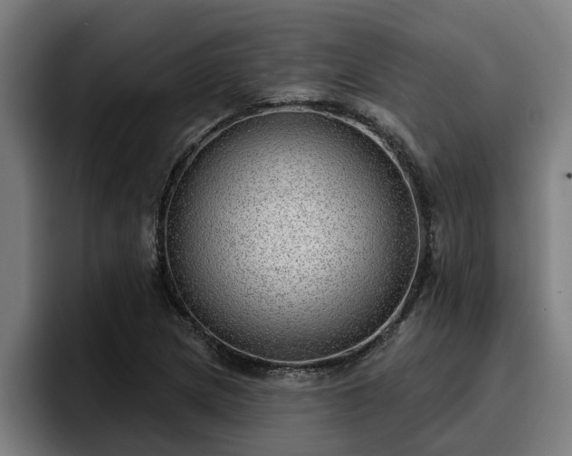 X0000094941217200712061224