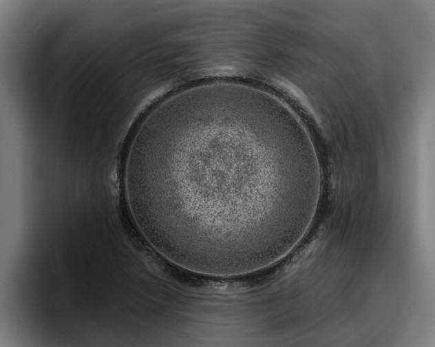 X0000094941218200712061224