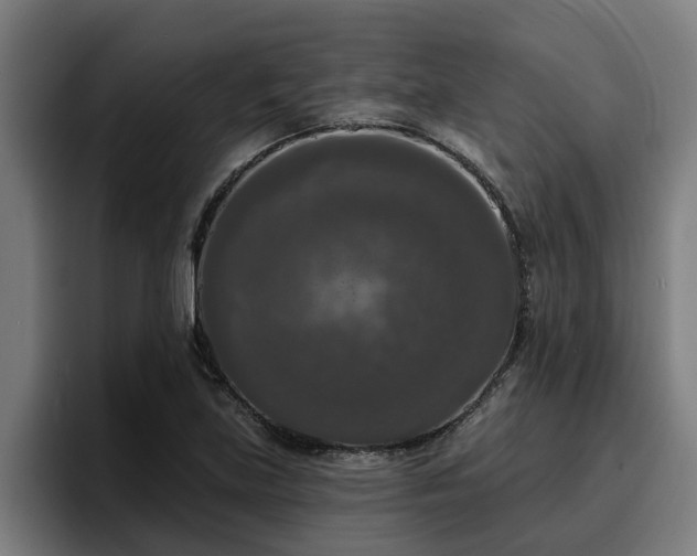 X0000094941219200712061224