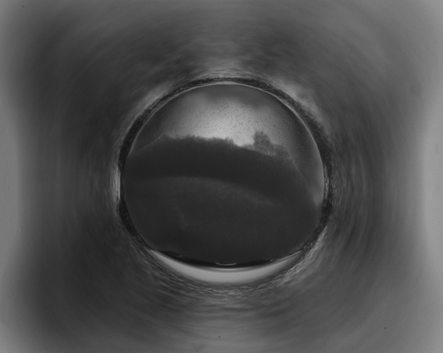 X0000094941221200712061224