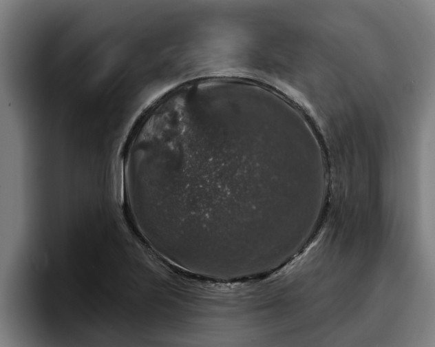 X0000094941223200712061224