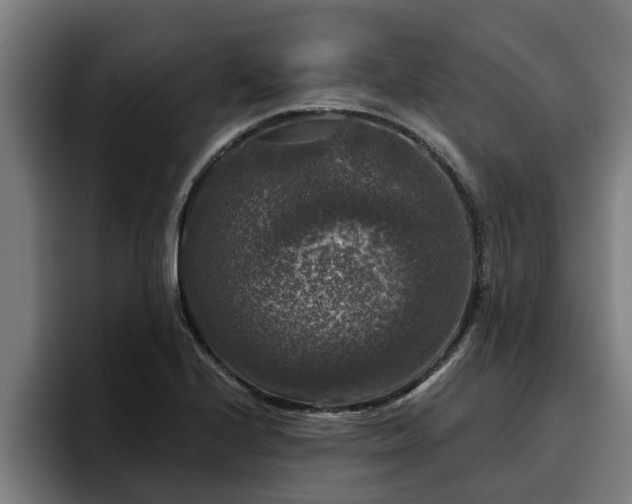 X0000094941224200712061224