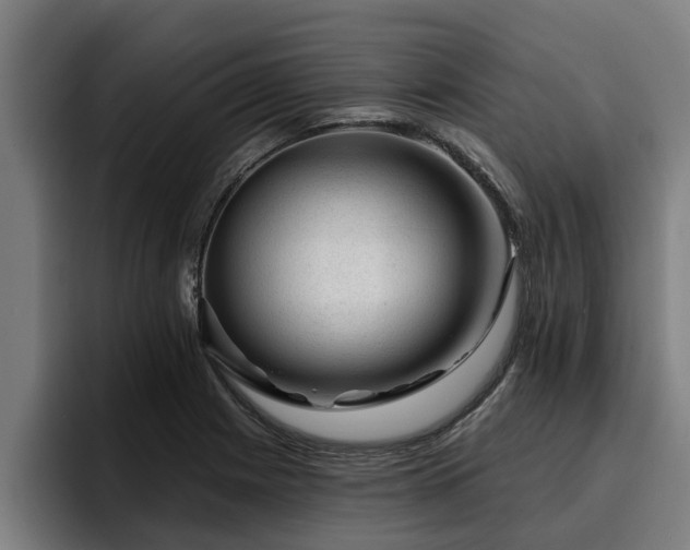 X0000094941225200712061224