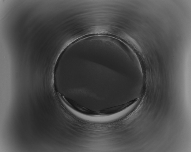 X0000094941226200712061224