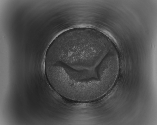 X0000094941228200712061224