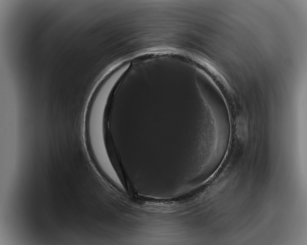 X0000094941229200712061224