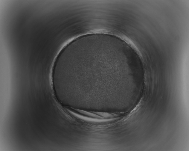 X0000094941230200712061224