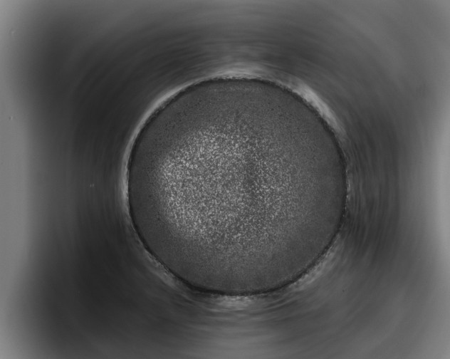 X0000094941232200712061224