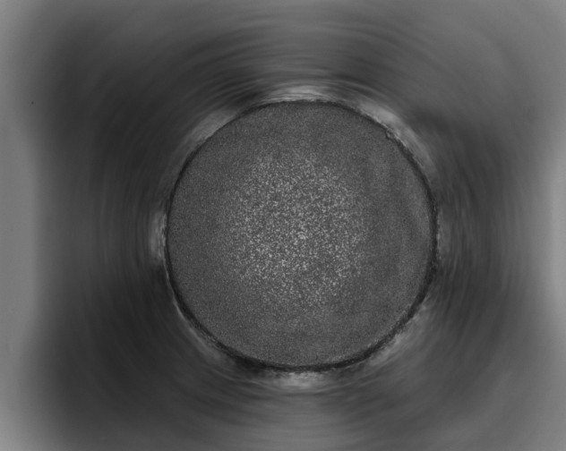 X0000094941233200712061224