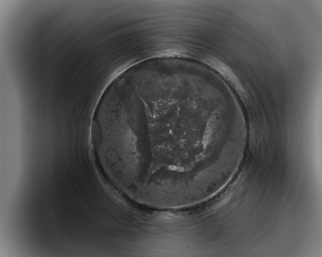 X0000094941234200712061224