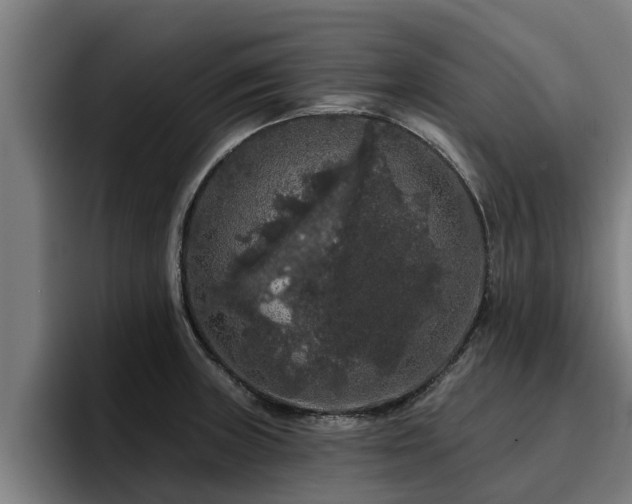 X0000094941235200712061224