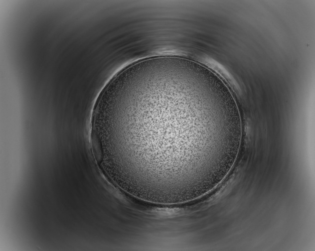 X0000094941236200712061225