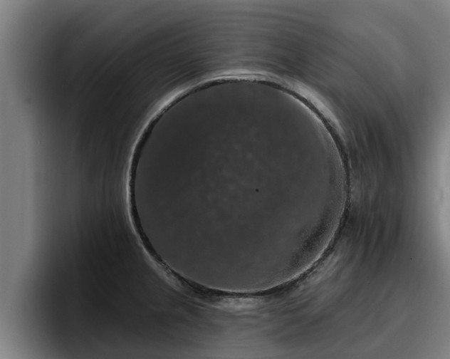 X0000094941237200712061225