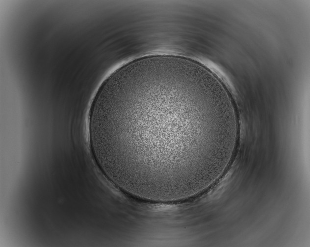 X0000094941238200712061225