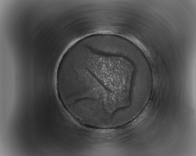 X0000094941240200712061225