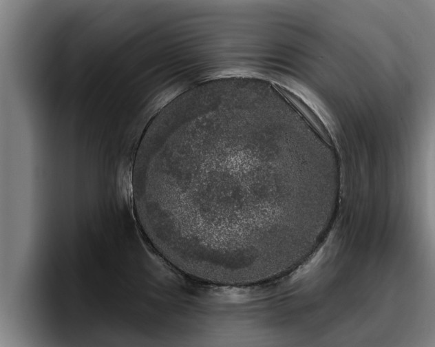 X0000094941241200712061225