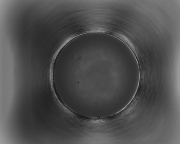 X0000094941243200712061225