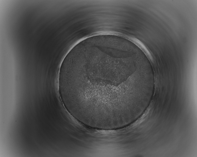 X0000094941244200712061225